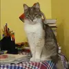 Отзыв от Алина Полякова